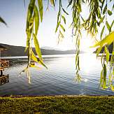 12 0890 web seefischer sommer19 gert perauer