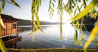 12 0890 web seefischer sommer19 gert perauer